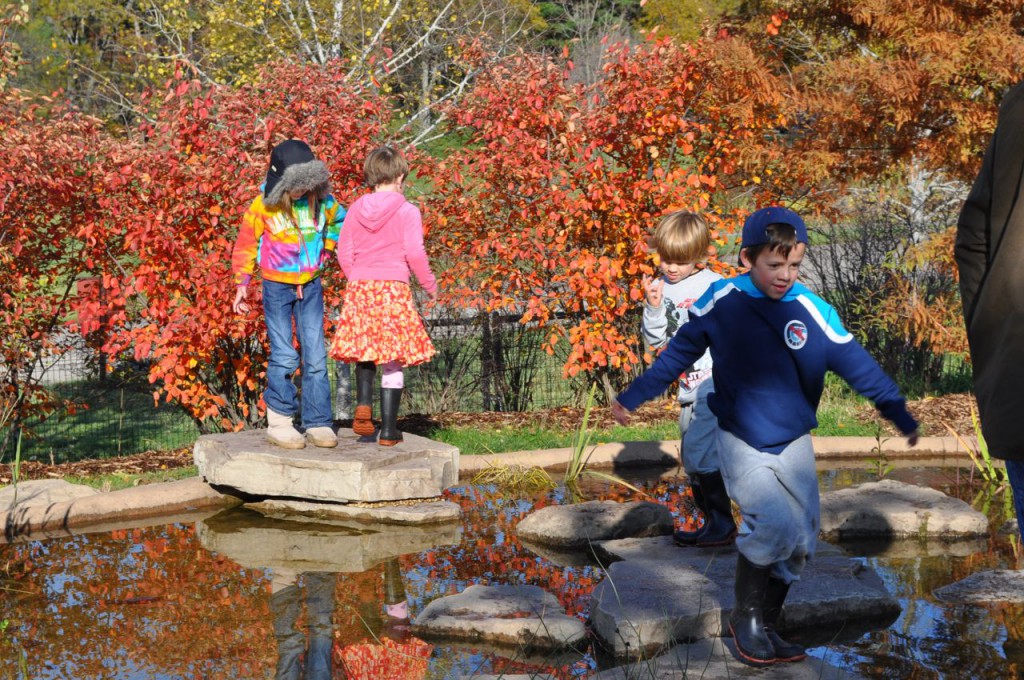DSC_6910 DSC_6910