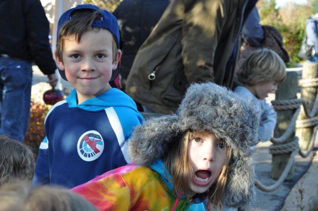 DSC_6949 DSC_6949